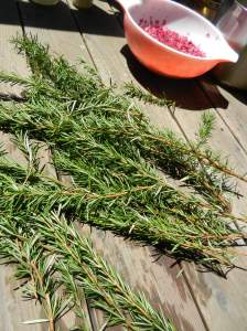 Rosemary for dyeing