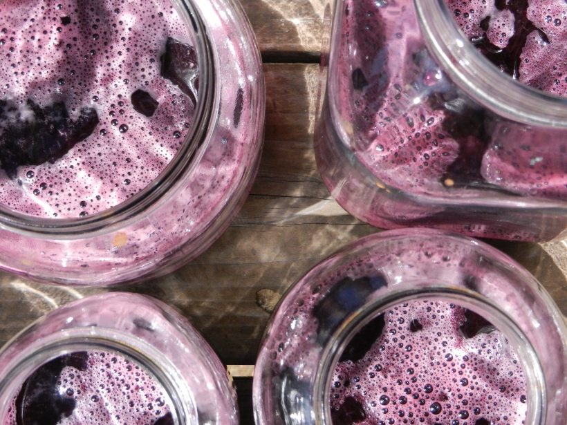 Vibrant purple dye in four jars.
