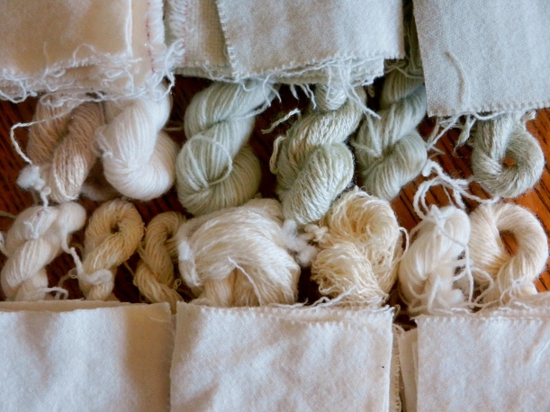 Creamy brown and greenish silk and wool handspun yarn and wool fabric, dried and ready to cure for a month or so before dyeing.
