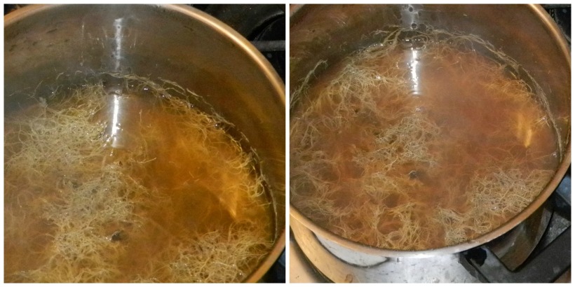 Spanish Moss, boiled for about 30 minutes, left, rich yellow 50 minutes, right, deep gold