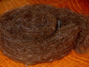 Buffalo fluff. Off the drum carder and ready to spin.